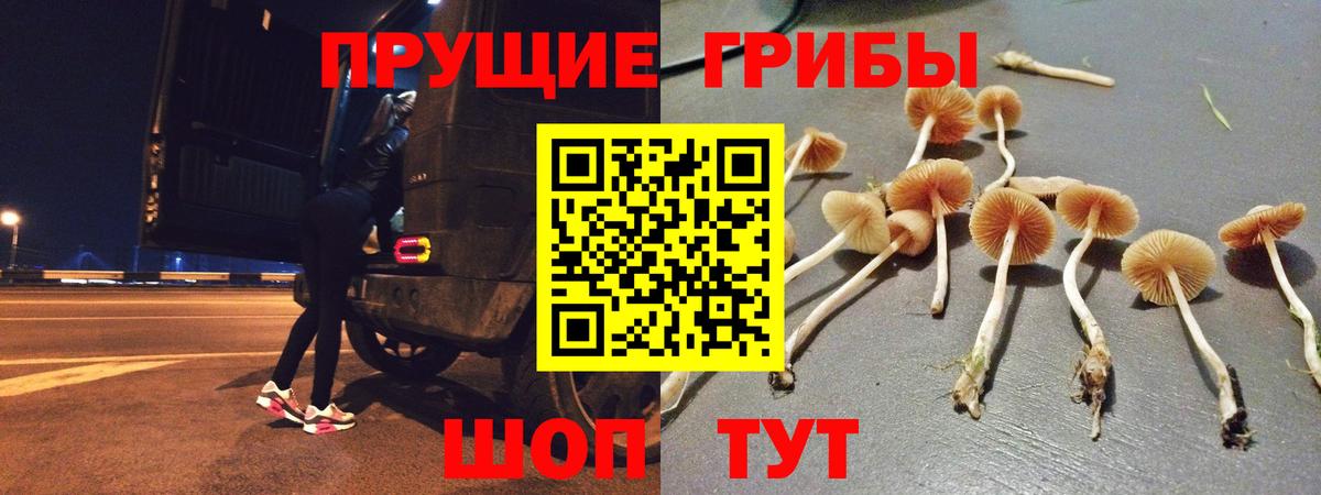 Галлюциногенные грибы мухоморы Касимов
