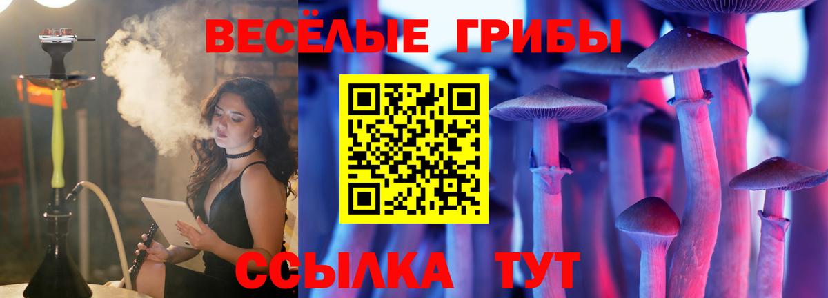 Касимов  Галлюциногенные грибы Psilocybine cubensis  Вход с VPN  Галлюциногенные грибы мухоморы 
